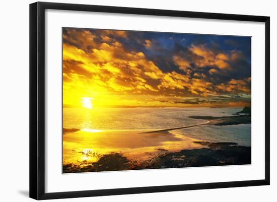 Lrososm-Viviane Fedieu Daniel-Framed Photographic Print