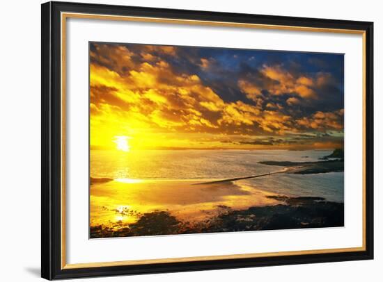 Lrososm-Viviane Fedieu Daniel-Framed Photographic Print