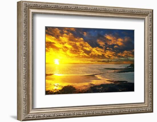 Lrososm-Viviane Fedieu Daniel-Framed Photographic Print