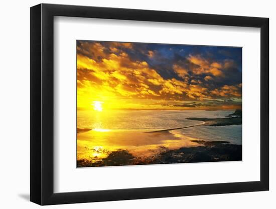 Lrososm-Viviane Fedieu Daniel-Framed Photographic Print