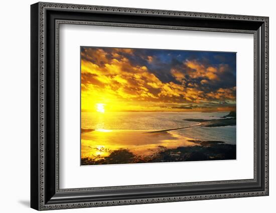 Lrososm-Viviane Fedieu Daniel-Framed Photographic Print