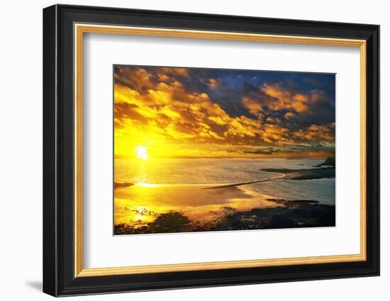 Lrososm-Viviane Fedieu Daniel-Framed Photographic Print