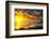 Lrososm-Viviane Fedieu Daniel-Framed Photographic Print