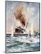 Premium Giclee Print