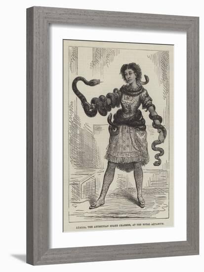 Lualla, the Abyssinian Snake Charmer, at the Royal Aquarium-null-Framed Giclee Print