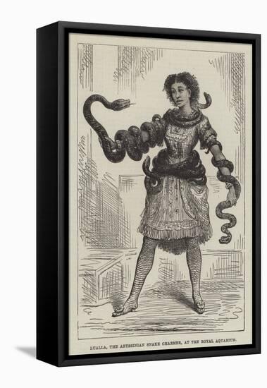 Lualla, the Abyssinian Snake Charmer, at the Royal Aquarium-null-Framed Premier Image Canvas