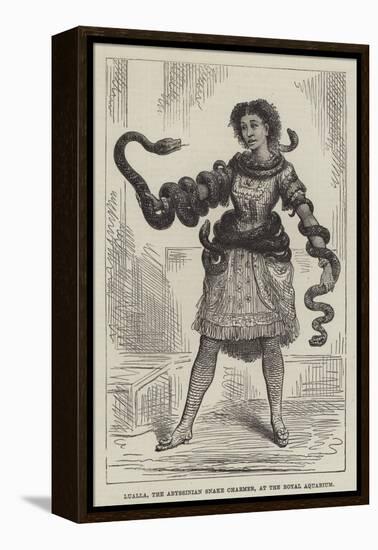 Lualla, the Abyssinian Snake Charmer, at the Royal Aquarium-null-Framed Premier Image Canvas