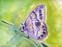 Watercolor Butterfly I-LuAnn Roberto-Art Print