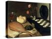 Stretched Canvas Print