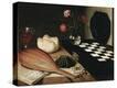 Stretched Canvas Print