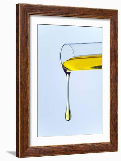 Lubricating Oil-Paul Rapson-Framed Photographic Print