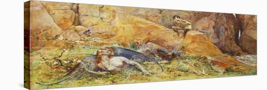 Stretched Canvas Print, , large