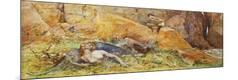Giclee Print