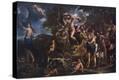 Stretched Canvas Print