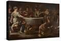 Stretched Canvas Print
