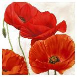 Poppies in the wind I-Luca Villa-Stretched Canvas