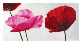 Poppies in the wind I-Luca Villa-Stretched Canvas
