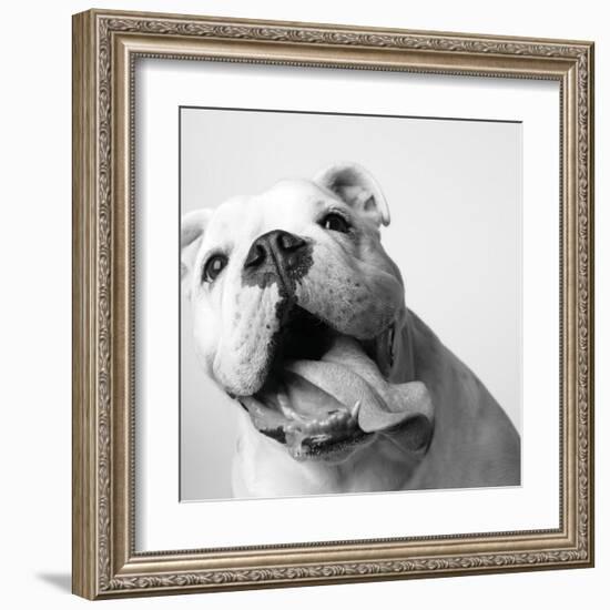 Luca-Amanda Jones-Framed Art Print