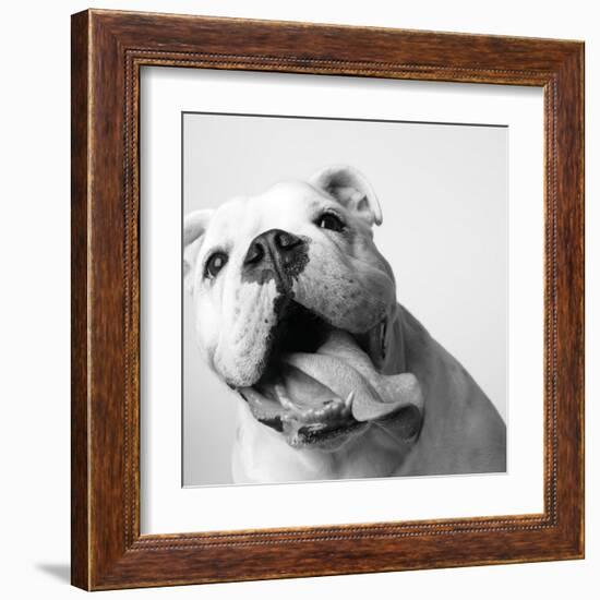 Luca-Amanda Jones-Framed Art Print