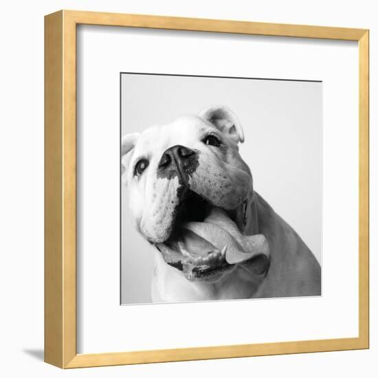 Luca-Amanda Jones-Framed Art Print