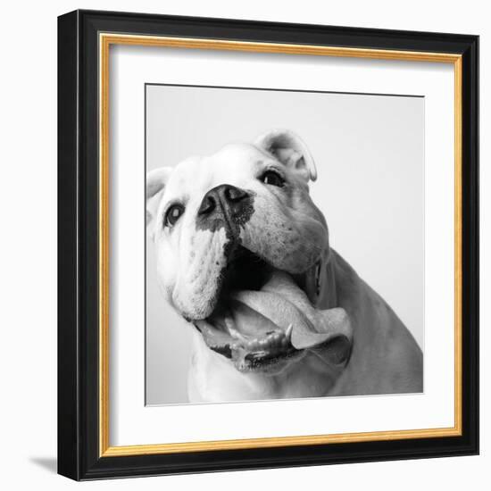 Luca-Amanda Jones-Framed Art Print