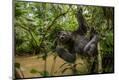 Photographic Print