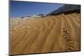 Photographic Print