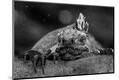 Photographic Print