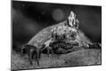 Photographic Print