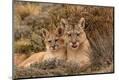 Premium Photographic Print