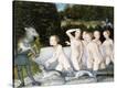 Stretched Canvas Print