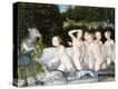 Stretched Canvas Print