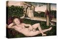 Stretched Canvas Print