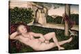 Stretched Canvas Print