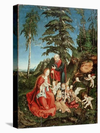 Stretched Canvas Print, , large