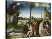 Stretched Canvas Print