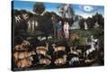 Stretched Canvas Print