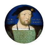 Henry Fitzroy, Duke of Richmond, C1534-Lucas Horenbout-Giclee Print