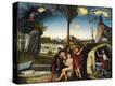 Stretched Canvas Print