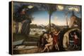 Stretched Canvas Print
