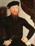 Portrait of a Man, 1564 (Panel)-Lucas the Younger Cranach-Giclee Print
