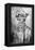 Lucas Van Leyden, 1936-Albrecht Durer-Framed Premier Image Canvas