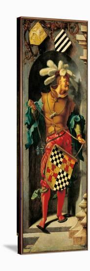 Stretched Canvas Print, , large