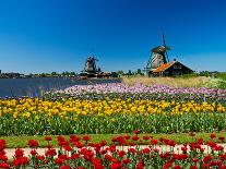 Windmill in Holland-lucasantilli-Premier Image Canvas