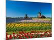 Photographic Print