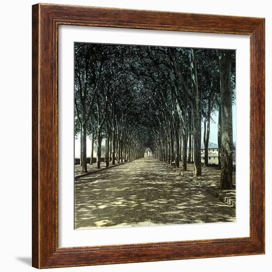 Lucca (Italy), the Promenade, Circa 1895-Leon, Levy et Fils-Framed Photographic Print