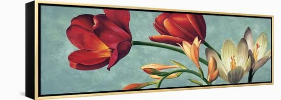 Luce e colore I-Eva Barberini-Framed Stretched Canvas