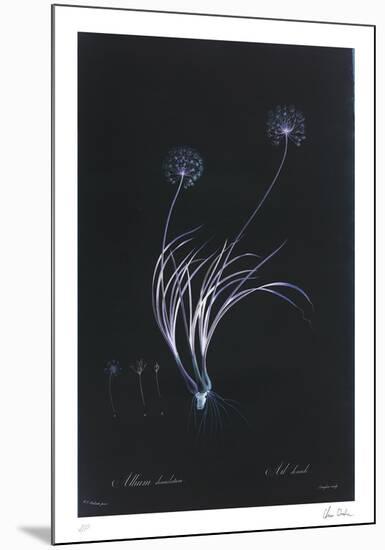 Lucent - Denudatum-Chris Dunker-Mounted Limited Edition
