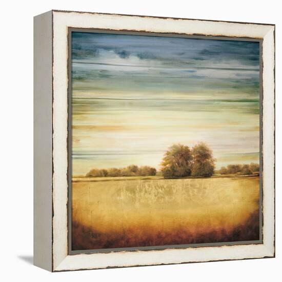 Lucent II-Gregory Williams-Framed Stretched Canvas