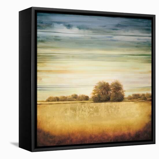 Lucent II-Gregory Williams-Framed Stretched Canvas